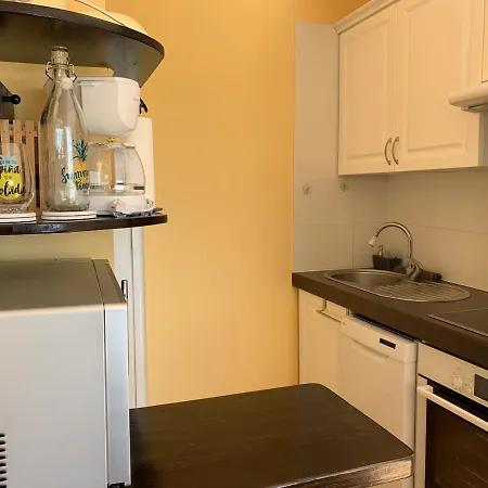 Apartment Magnifique T2 Duplex A Avec Terrasse, Wifi, A 100m De La - Fr-1-374-160